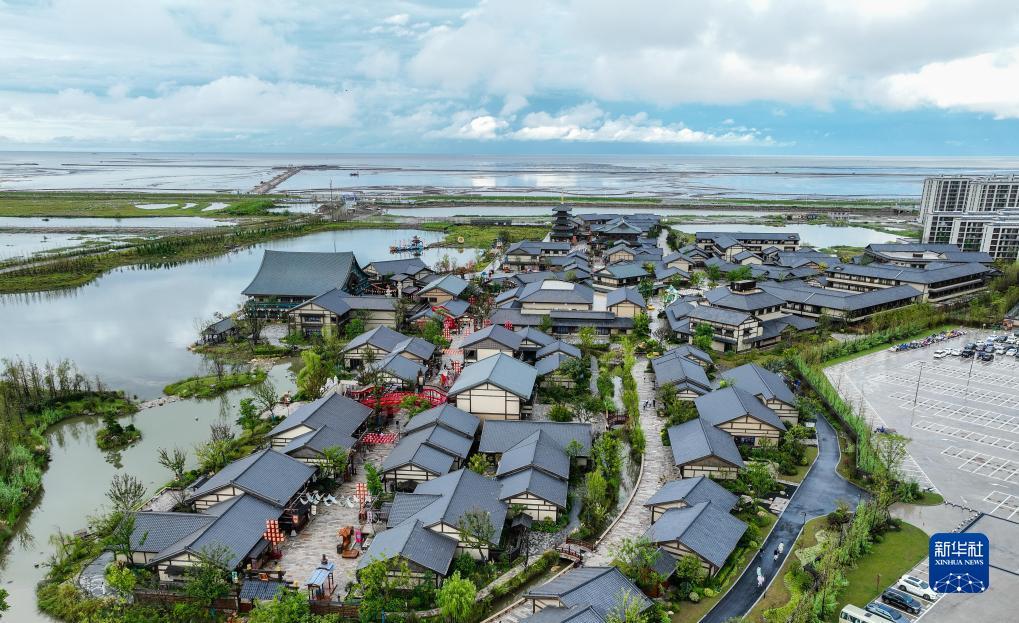 买龙和虎的那个游戏软件叫什么